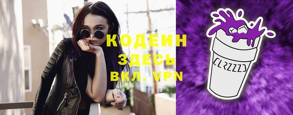 крисы Абаза