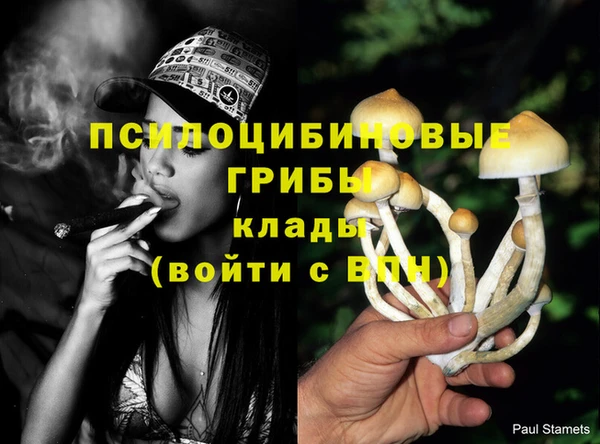 гидра Абинск