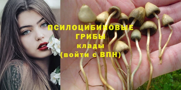 марки nbome Няндома