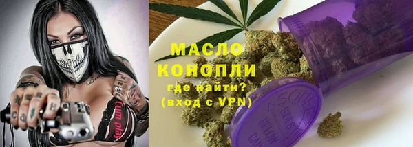 крисы Абаза
