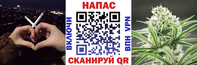 Каннабис сатива Александровск